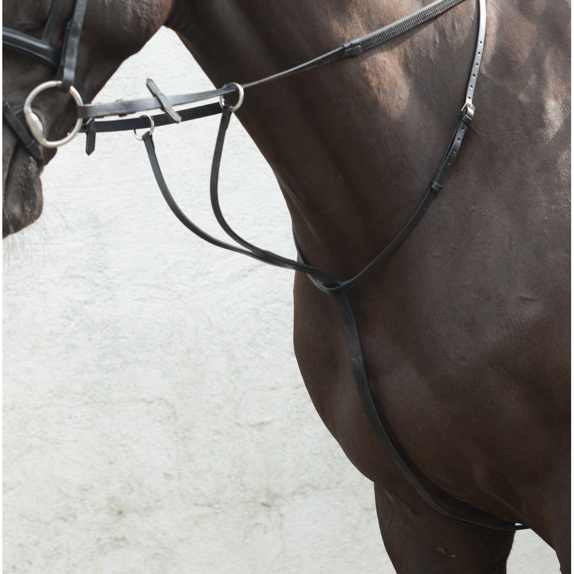 Equisential Martingale a Anneaux - SHOPHORSE